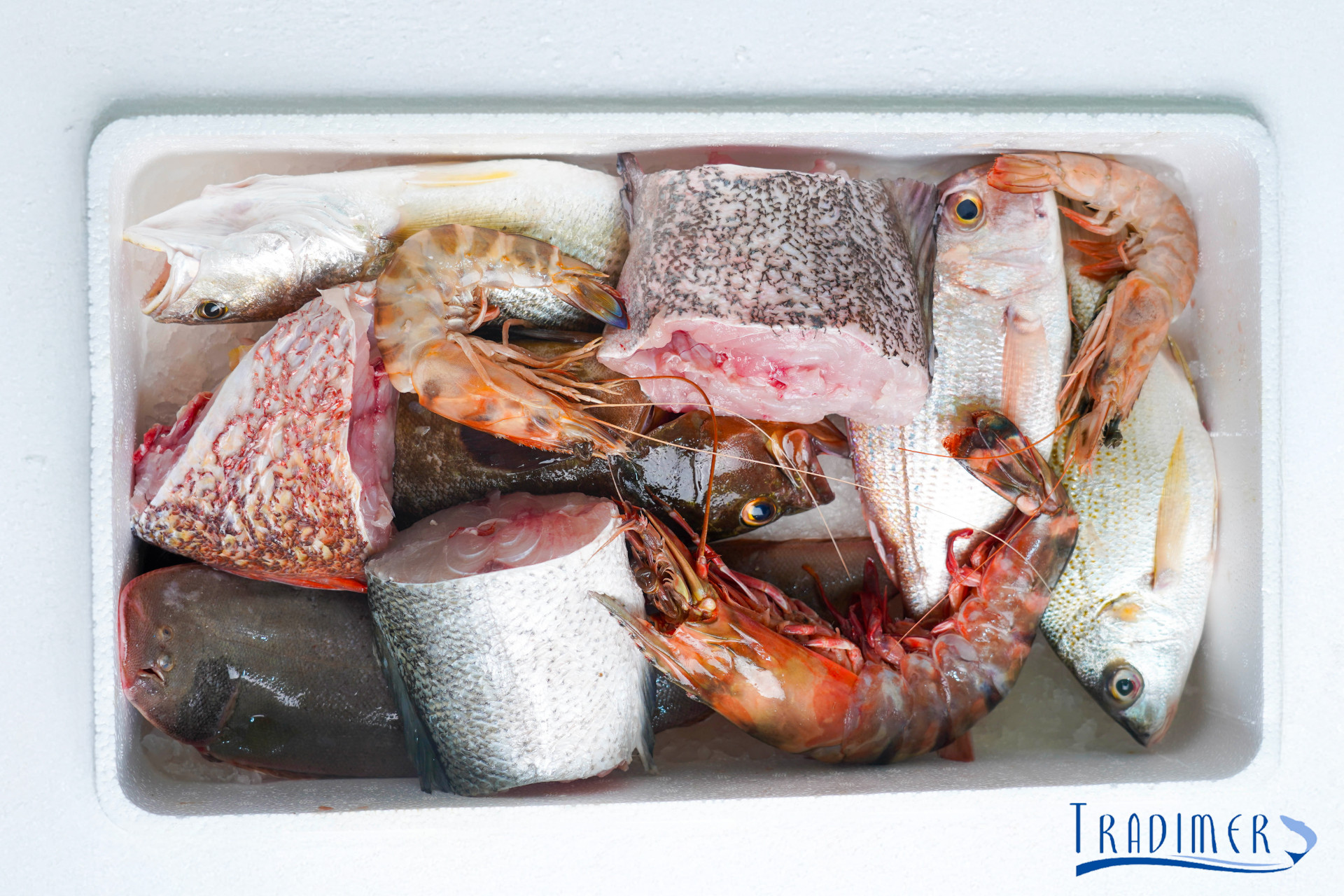 Pack Teranga – Spécial Famille